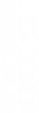 Joana Sena Logotipo Branco